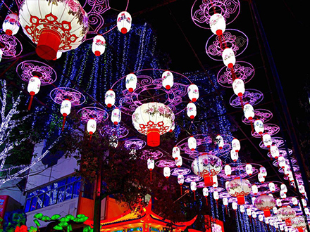 牡丹花开通道廊灯